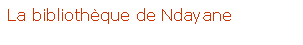 Zone de Texte: La bibliothèque de Ndayane