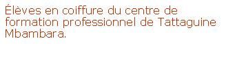 Zone de Texte: Élèves en coiffure du centre de formation professionnel de Tattaguine Mbambara.